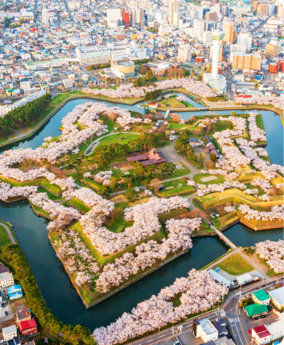 函館市の風景